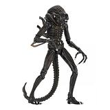 Alien Warrior Ultimate Brown Edition Poseable Figure from Aliens