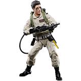 Ghostbusters Plasma Series Ray Stantz Toy 6-Inch-Scale Collectible Classic 1984 Ghostbusters Figure , 2020