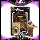 HASBRO Star Wars The Vintage Collection Card (F3113) VC190 Paploo Exclusive  Figure 2021, US Import