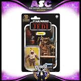 HASBRO Star Wars The Vintage Collection Card (F3113) VC190 Paploo Exclusive  Figure 2021, US Import