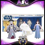 HASBRO Star Wars The Legacy Collection - The Padme Amidala Legacy Evolutions Pack, 2008 (Japanese Release)